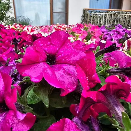 Diamond Sarafovo By Kp - Luxury Collection, 6 * 布尔加斯