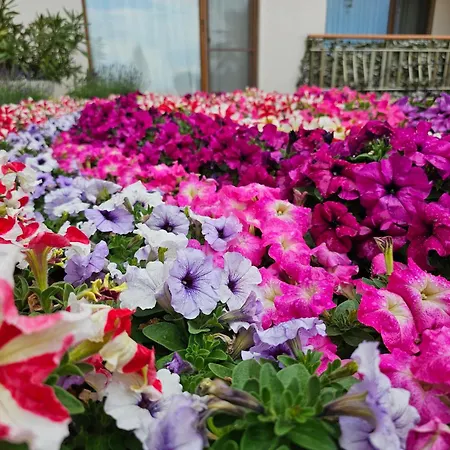 Diamond Sarafovo By Kp - Luxury Collection, 6 Apartman