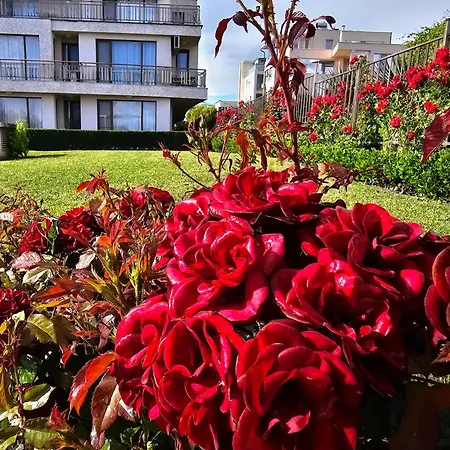 Diamond Sarafovo By Kp - Luxury Collection, 6 Apartman *