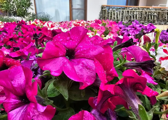 Diamond Sarafovo By Kp - Luxury Collection, 6 * 布尔加斯