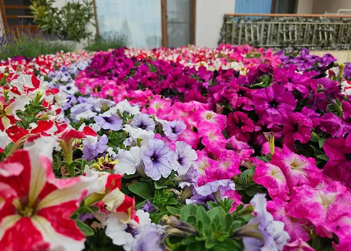 Diamond Sarafovo By Kp - Luxury Collection, 6 公寓